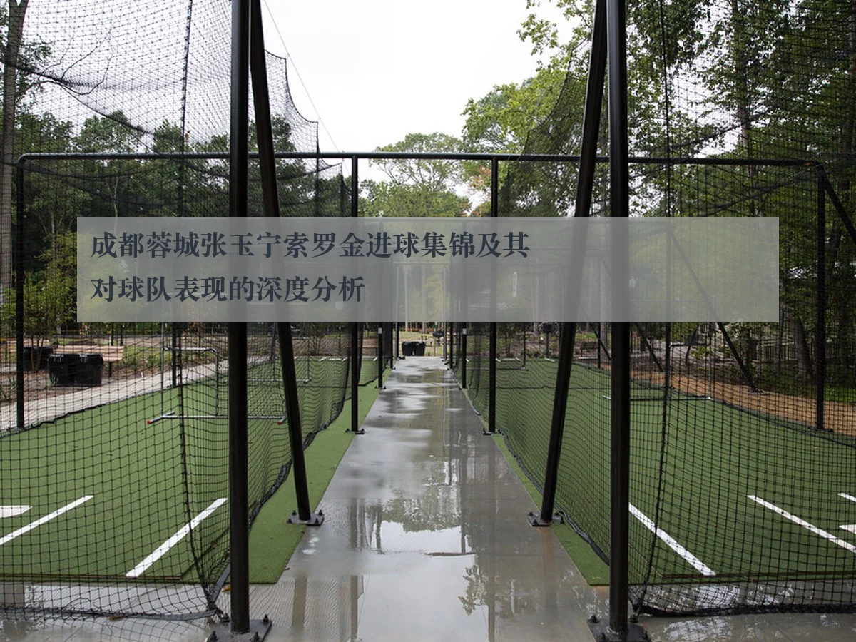 成都蓉城张玉宁索罗金进球集锦及其对球队表现的深度分析